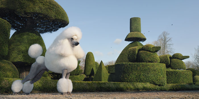 Tim Flach, Topiary