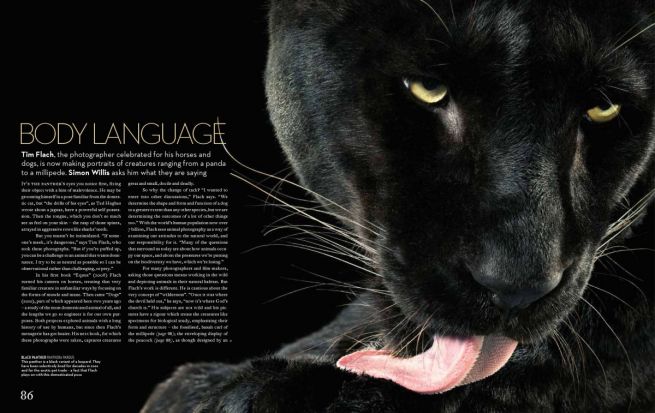 flach.economist.may2012-2