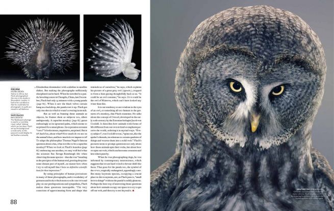 flach.economist.may2012-3