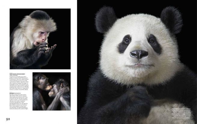 flach.economist.may2012-5