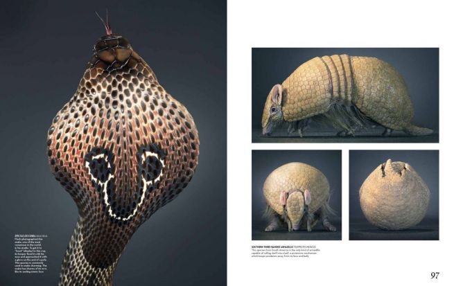 flach.economist.may2012-7