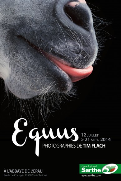 Equus2014-40x60JPEG_website-389x581